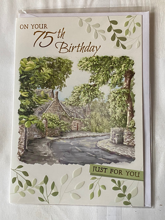 Mens Male Age 75 75th Seventy-Five Seventy-Fifth On Your 75th Birthday Just For You Birthday Card Village Road Foil Detail(PH43622A)