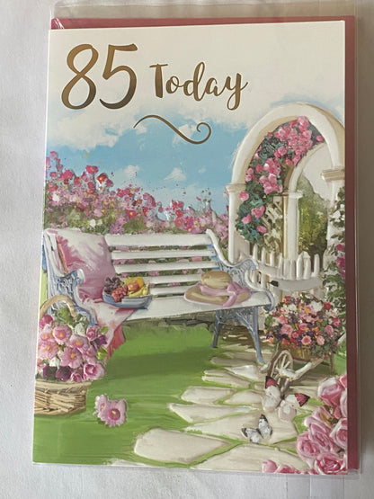 Ladies Female Age 85 85th Eighty-Five Eighty-Fifth 85 Today Birthday Card White Garden Bench/Pink Blanket Foil Detail(NC-VA180A)