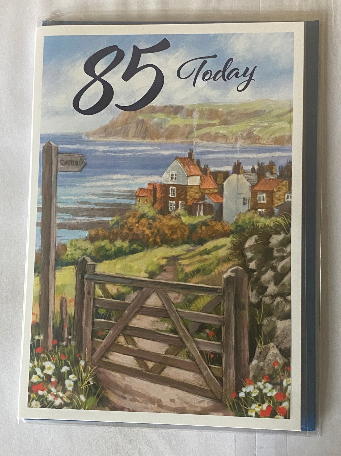 Mens Male Age 85 85th Eighty-Five Eighty-Fifth 85 Today Birthday Card Water Scene/Houses/Wooden Gate Foil Detail(NC-VA196A)