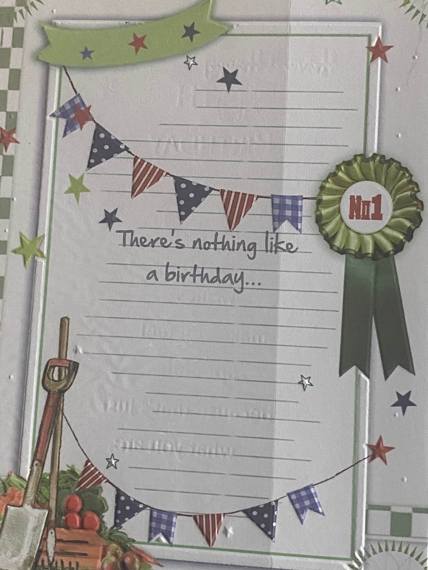 Mens/Male Age 90 90th Ninety Ninetieth Just For You Have A Happy 90th Birthday Card Bunting/Gardening/Gold Words Foil Detail(X91Q3330B)