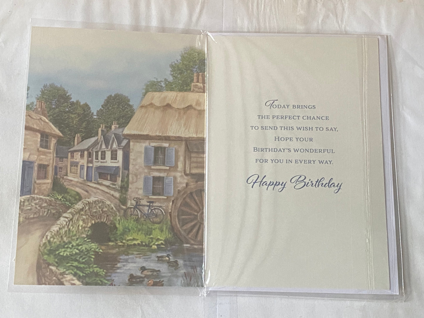 Mens Male Age 90 90th Ninety Ninetieth On Your 90th Birthday Card Houses/Bridge/Bike/Ducks Foil Detail(NC-VA078E)