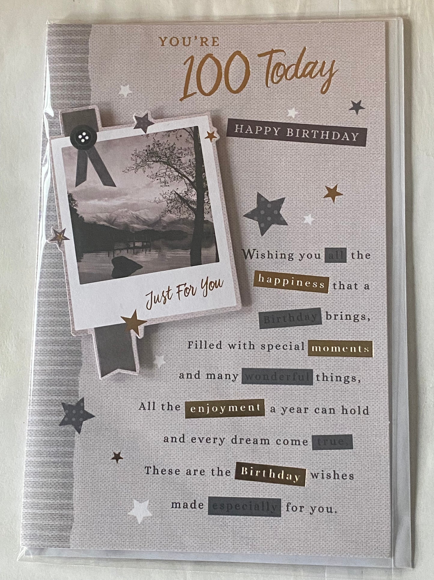 Mens Male 100th Age 100 One Hundred You're 100 Today Happy Birthday Card Grey/Gold Water Scene/Words 3D/Foil Detail(PRELUDE43126)