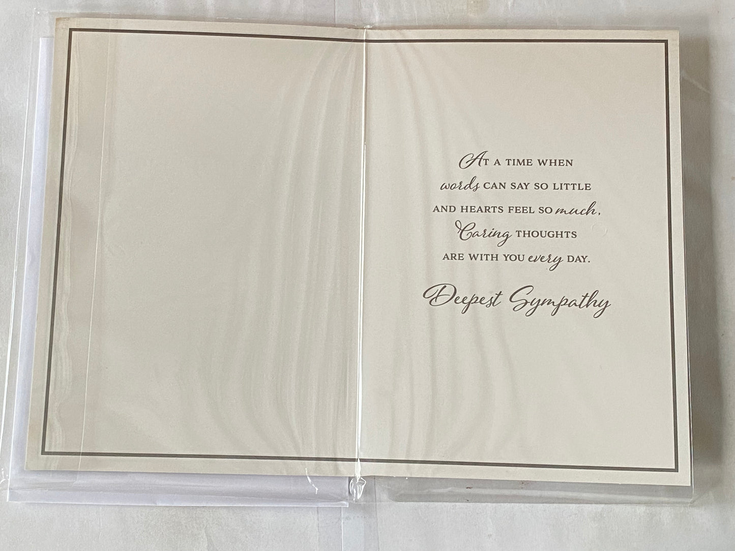 So Sorry For The Loss of Your Son With Deepest Sympathy Card Condolence White/Silver Words Foil Detail(PH45876E)