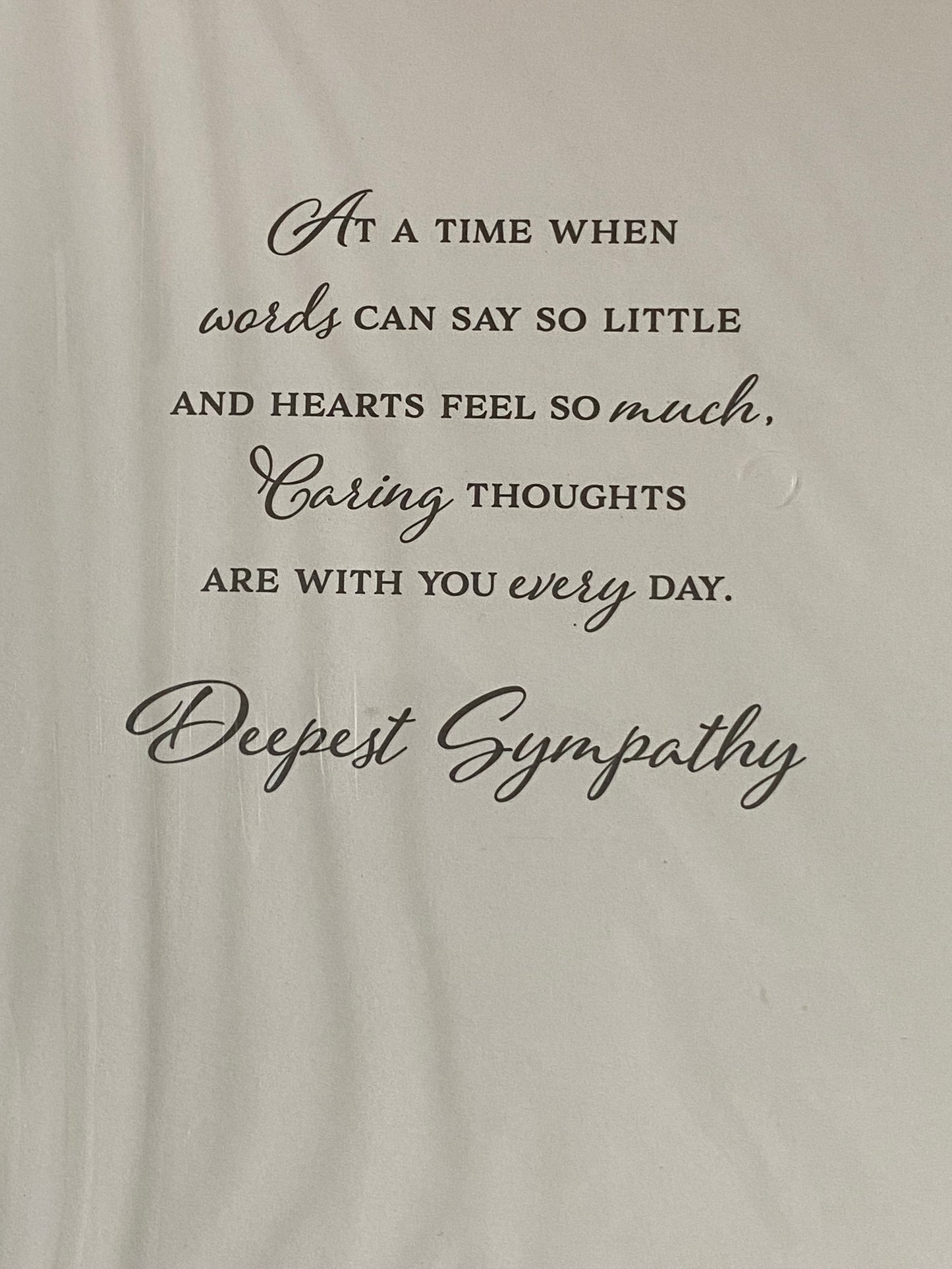 So Sorry For The Loss of Your Son With Deepest Sympathy Card Condolence White/Silver Words Foil Detail(PH45876E)