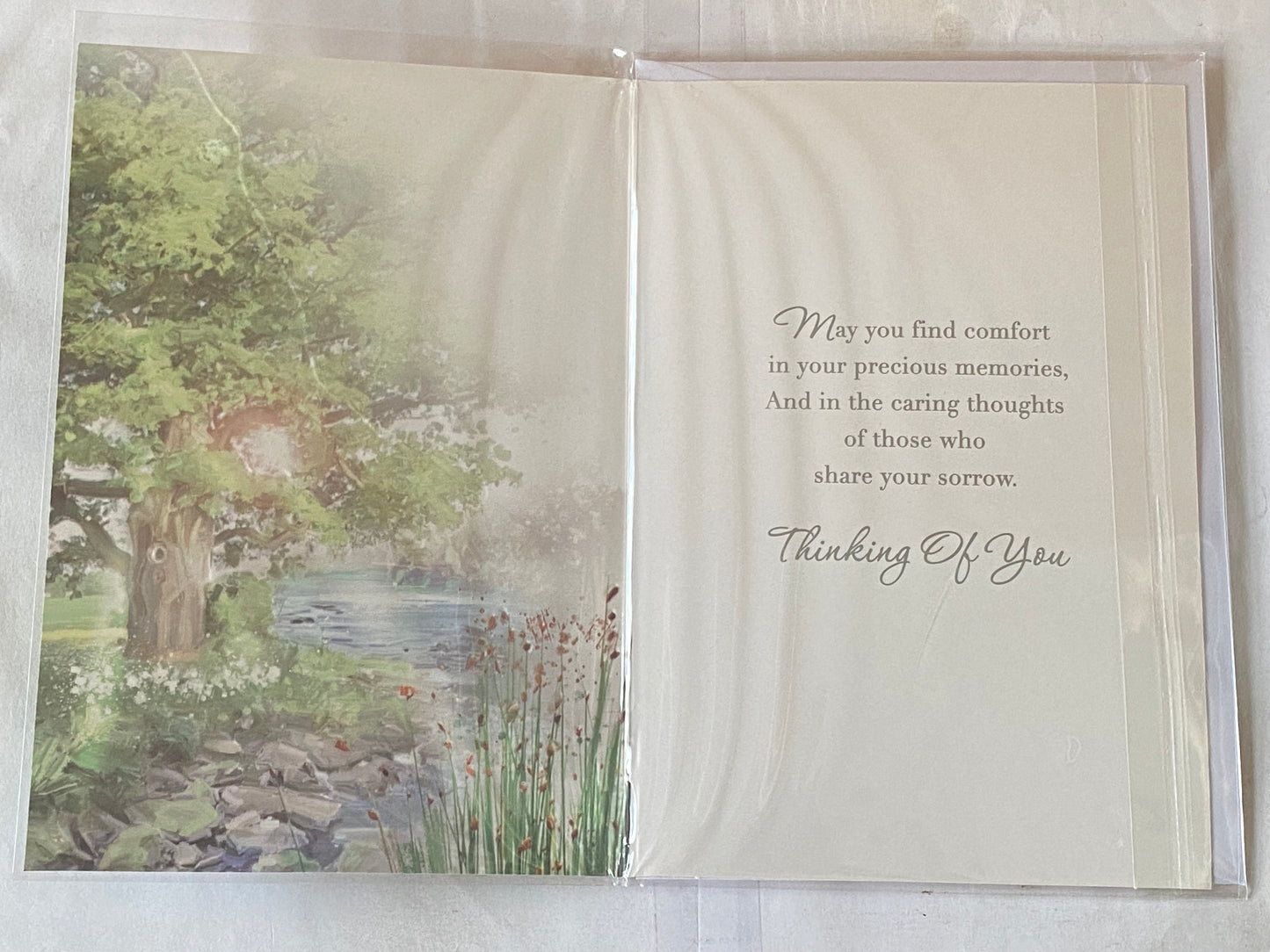 On The Loss of Your Son Sympathy Card Condolence Water Scene/Tree Foil Detail(NC-VA223E)