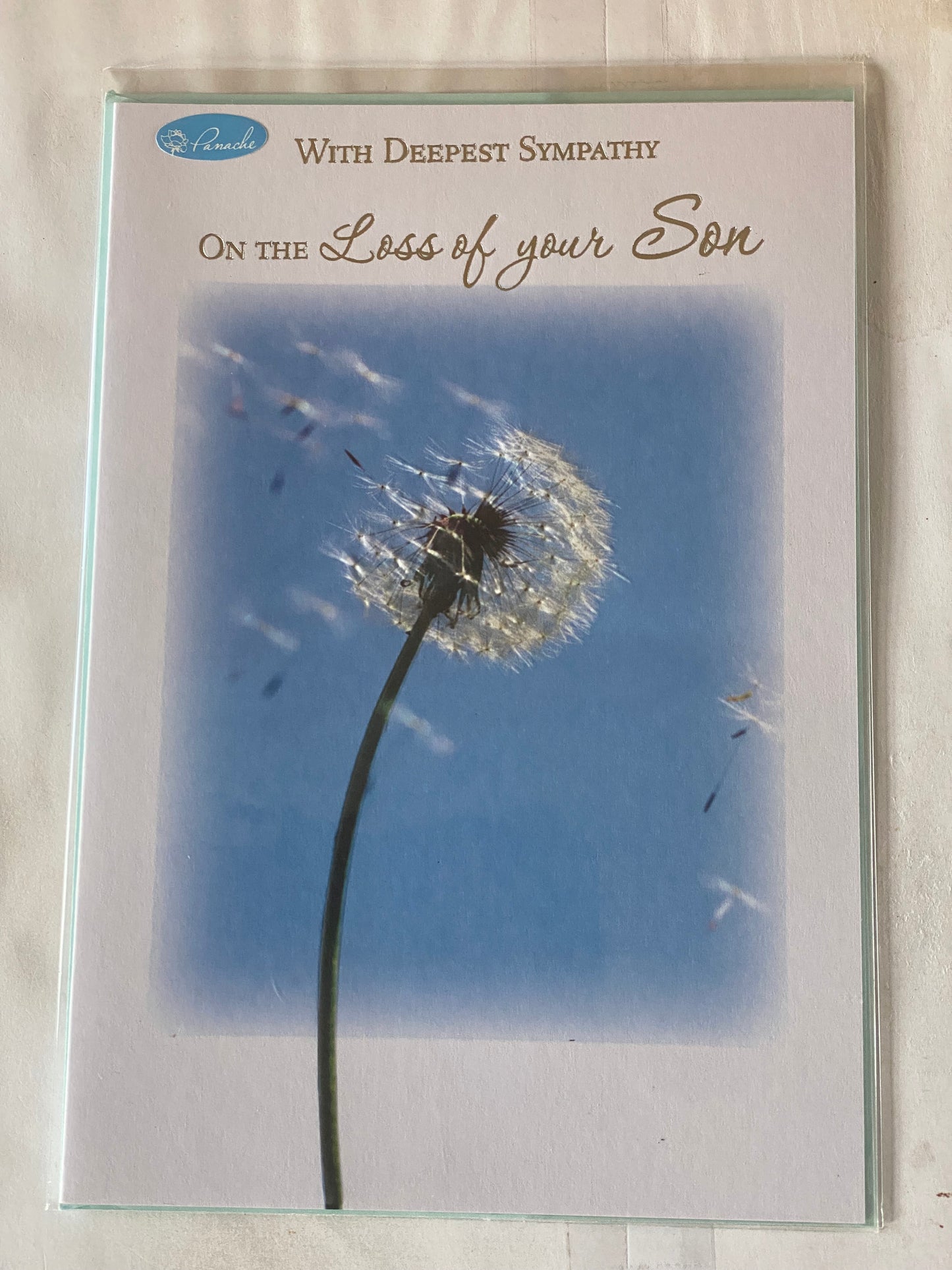 With Deepest Sympathy On The Loss of Your Son Sympathy Card Condolence White/Blue-White Flower Foil Detail(PA1025SYA)