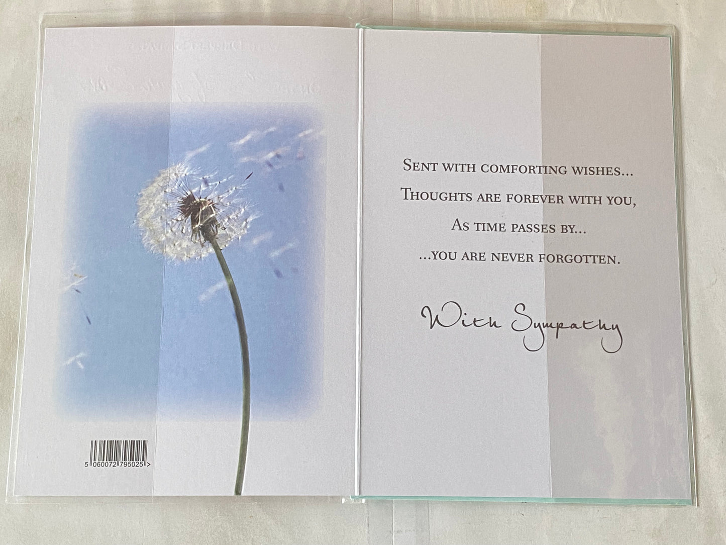 With Deepest Sympathy On The Loss of Your Son Sympathy Card Condolence White/Blue-White Flower Foil Detail(PA1025SYA)