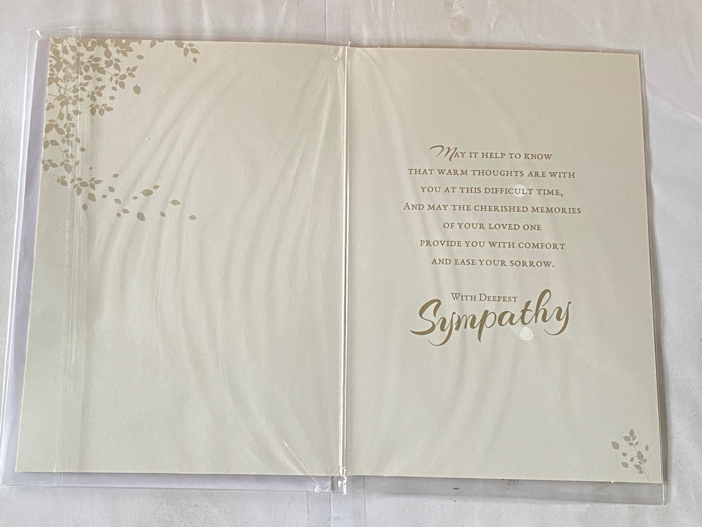 On The Sad Loss of Your Loved One With Deepest  Sympathy Caring Thoughts Are With You Sympathy Card Condolence White/Gold Words/Leaves Foil Detail(PH41088E)