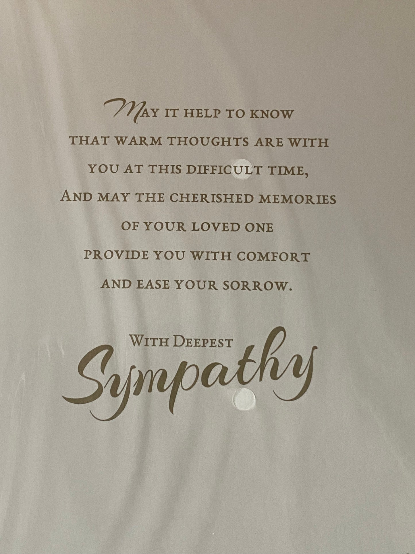 On The Sad Loss of Your Loved One With Deepest  Sympathy Caring Thoughts Are With You Sympathy Card Condolence White/Gold Words/Leaves Foil Detail(PH41088E)