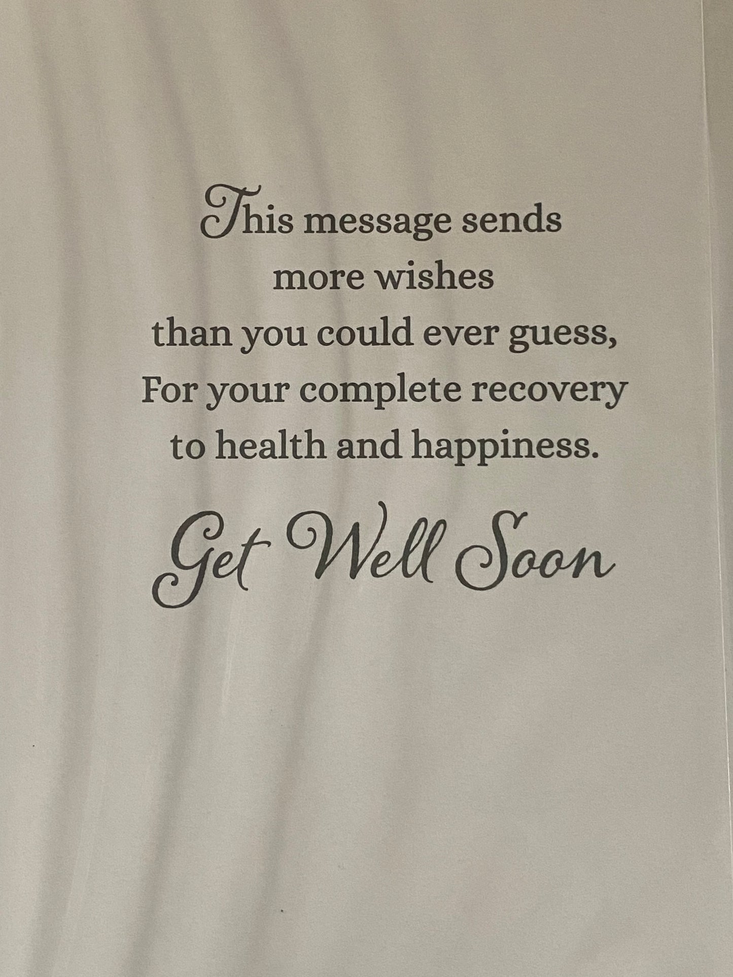 Sending Special Get Well Wishes Get Well Soon Card White Houses/Boats Foil Detail(NC-VA134A)