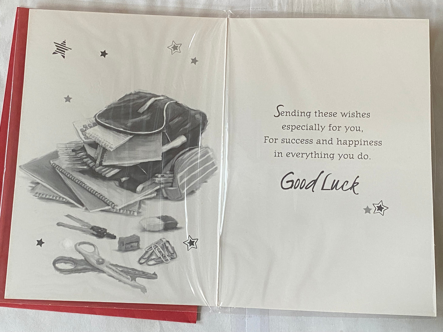 Best Of Luck In Your Exams Good Luck Card Exam Red Bag/Books/Words Foil Detail(PH44468E)