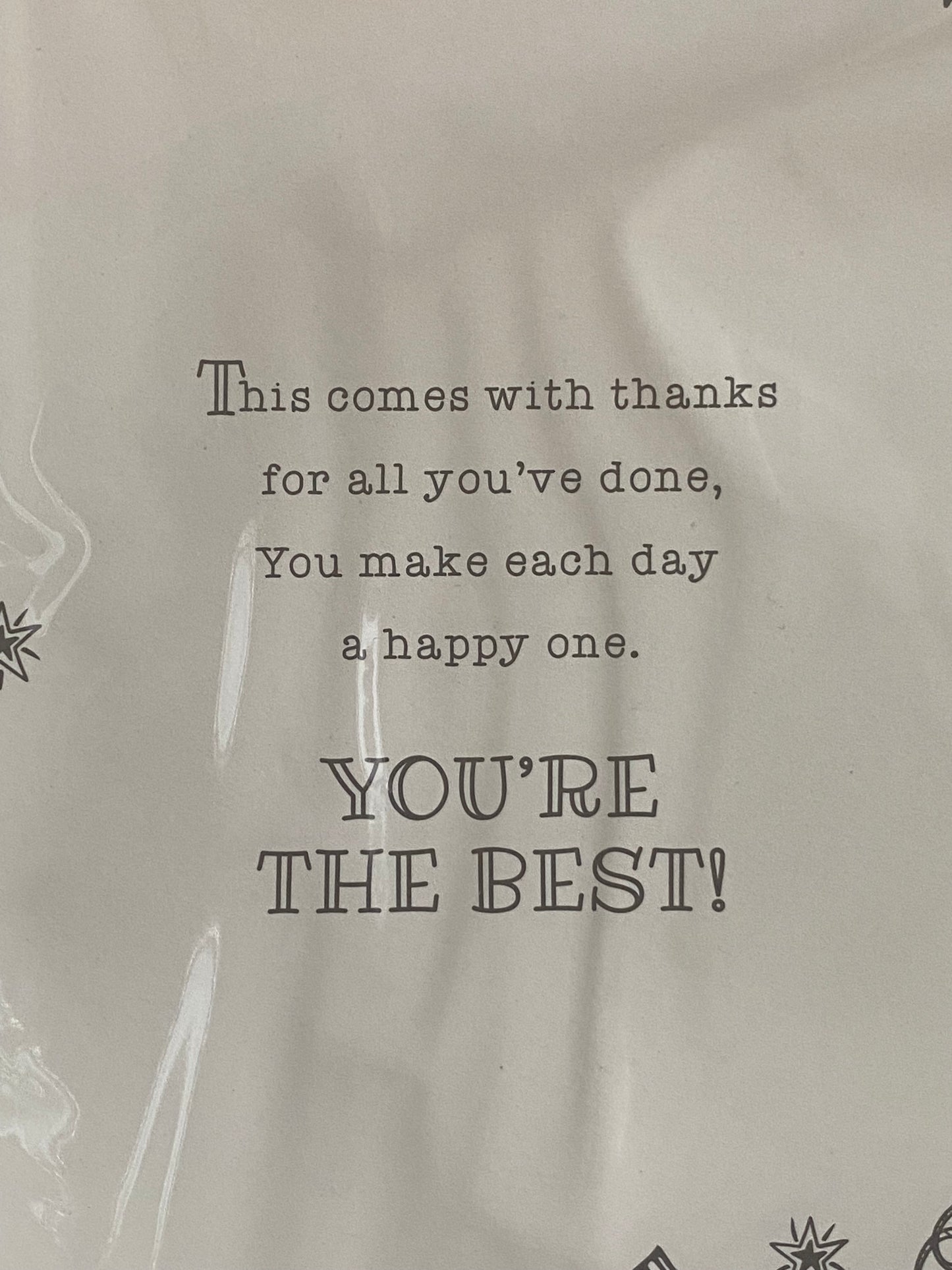 You're The Best Teacher Ever! Card Teacher Thank You Card Teddy/Big Red Apple Foil Detail(PH44465A)