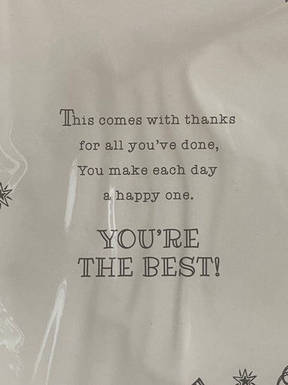 You're The Best Teacher Ever! Card Teacher Thank You Card Teddy/Big Red Apple Foil Detail(PH44465A)