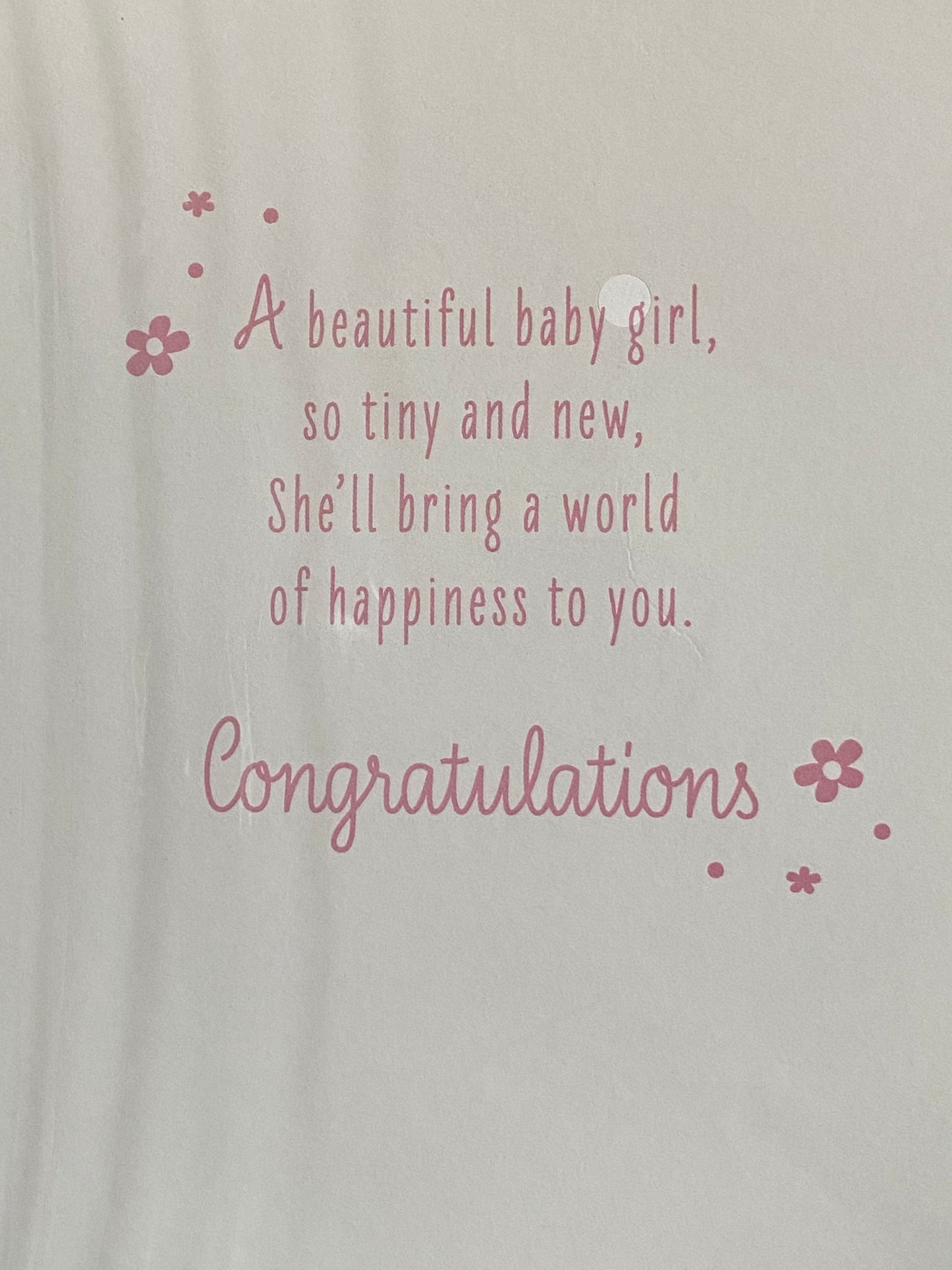 On The Birth of Your Granddaughter Congratulations A Lovely Baby Girl New Baby Born Card To The Grandparents Teddy Holding Pink Blanket/Balloons/Bunting/Pink Words Foil Detail(PH48411E)