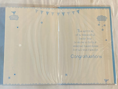 Congratulations On The Birth of Your Precious Grandson New Baby Boy Born Card to The Grandparents Blue/Green/Silver/Yellow Words/Stripes/Bunting Glitter/Foil Detail(PH41080E)