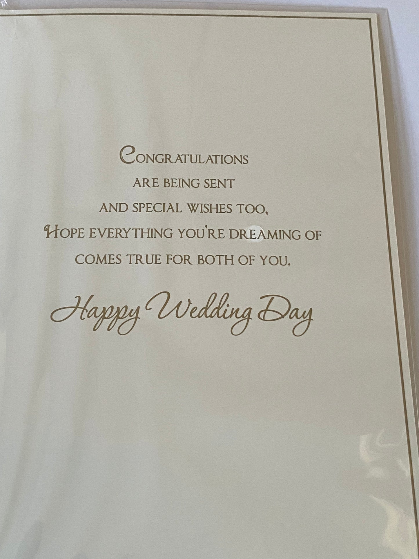 To A Special Mrs & And Mrs On Your Wedding Day Happily Ever After Wedding Day Card Flowers/Gold Words Foil Detail(PH47355E)