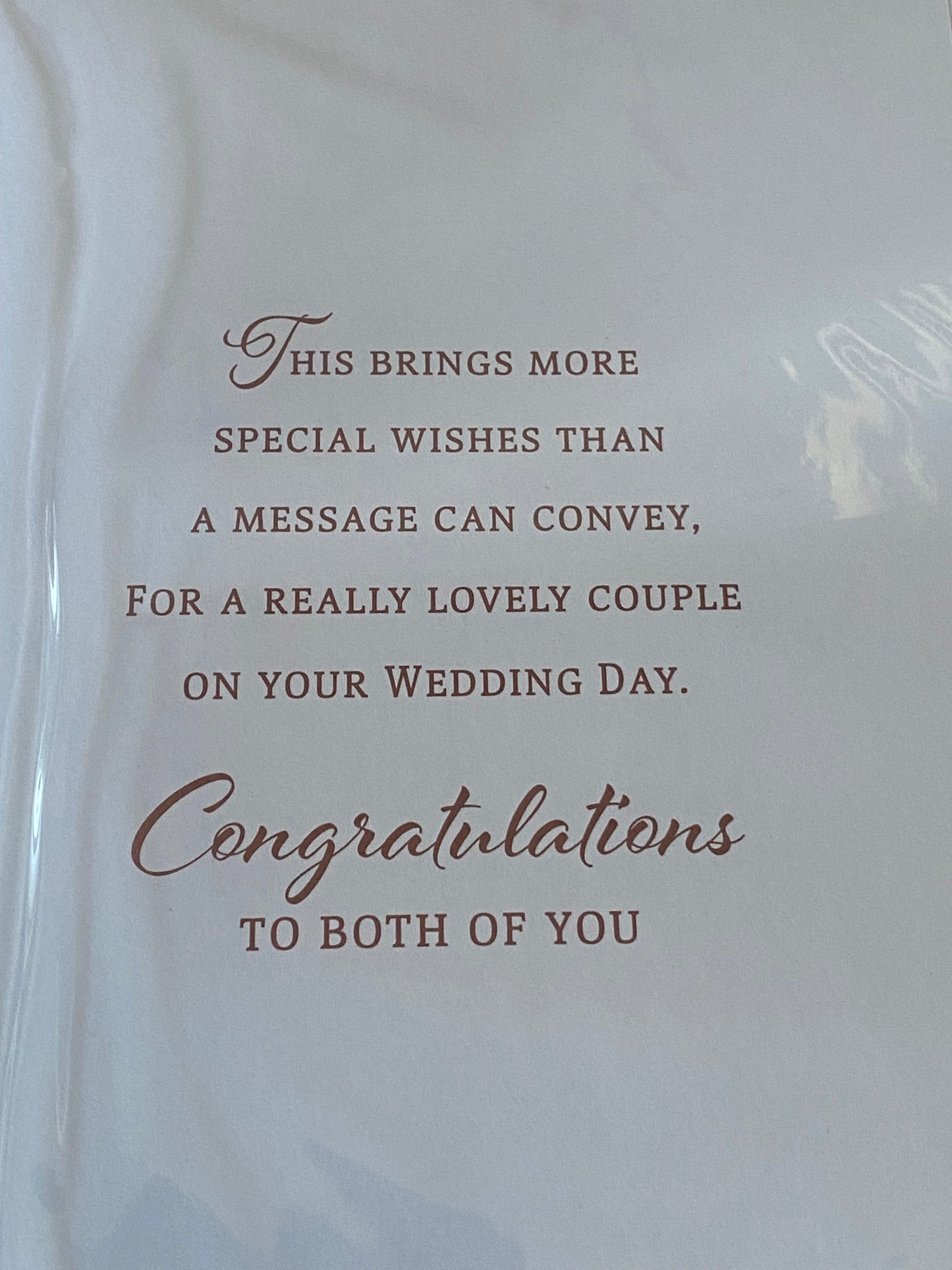 To A Special Mr And & Mr On Your Wedding Day Have A Wonderful Day Wedding Day Card White/Rose Gold/Black Words 3D/Ribbon/Foil Detail(PRELUDE47286)