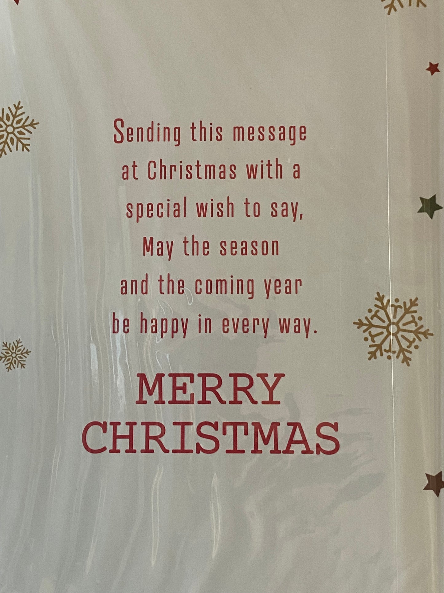 To A Special Cousin Happy Christmas Celebrate The Season Christmas Card Gold/Red/Green/Purple Words Foil Detail(PH45202B)