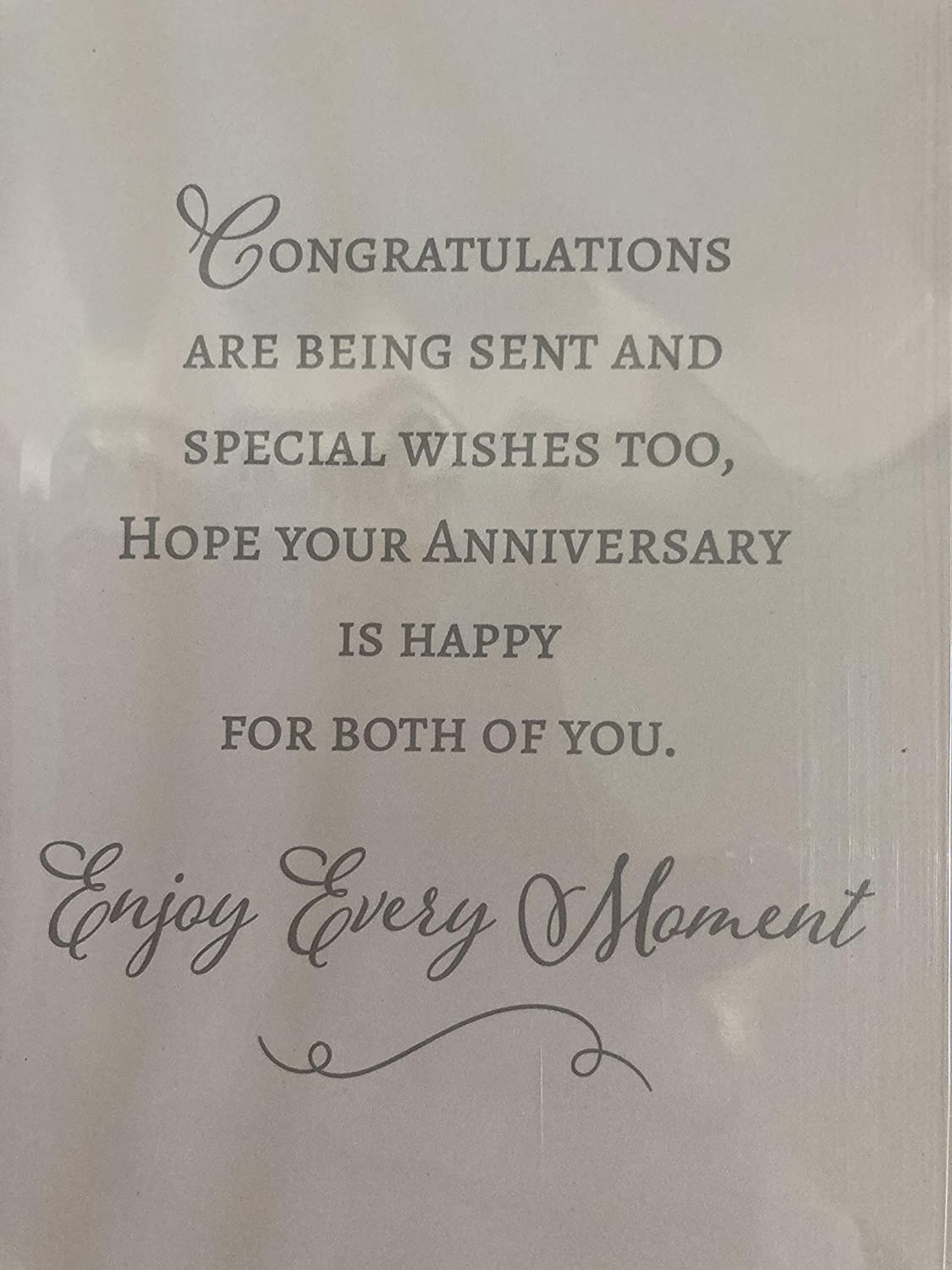 Anniversary Wishes Sister & Brother-in-Law Wedding Anniversary Card Church/Car/Bride Foil Detail(VA158)